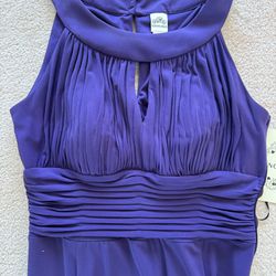 Size 4 Day/ Night Occasion Purple Dress, New, Never Worn, Padded Cup, Side Waist Up Zipper, 56” Long