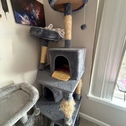 Free - Cat Tree (larger one)