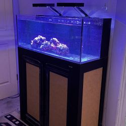 Innovative Marine Fusion 30G lLong AIO Aquarium w/APS Stand - Black