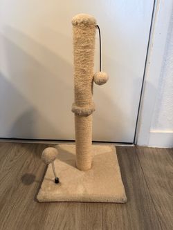 Cat Scratching Post