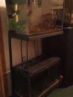 two 10 gallon fish tanks with stand