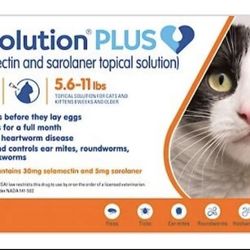 Revolution For Cats  Flea & Other parasites