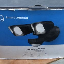 Ring - Smart Lighting Wired Floodlight - Black 