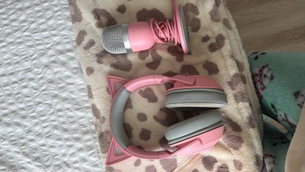 Headset and microphone