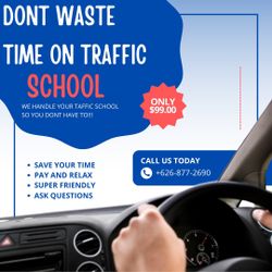 Don't Do Your Traffic School!!!