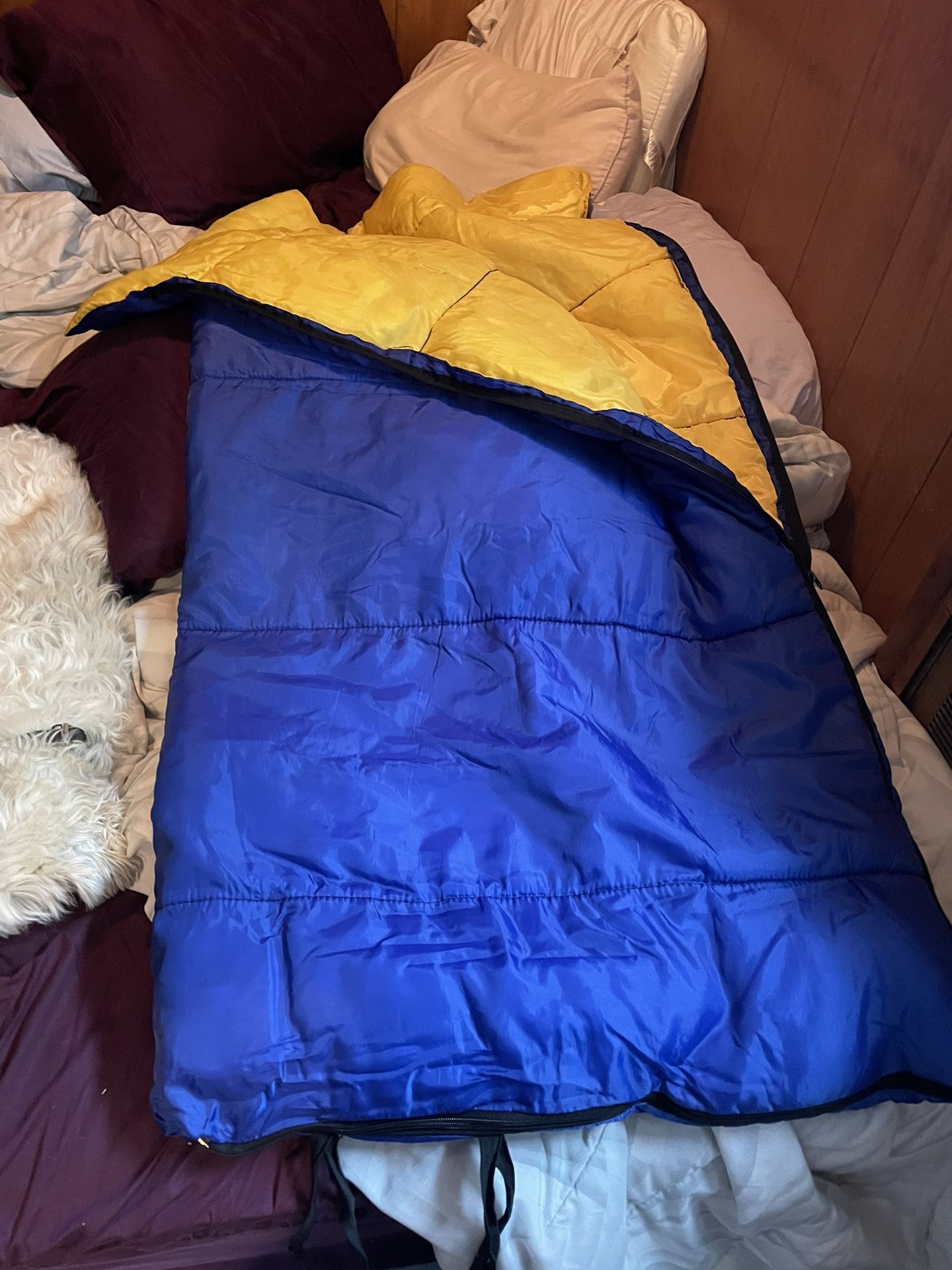 Kids Sleeping Bag