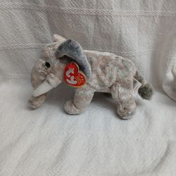 Beanie Baby (Pounds)🐘  