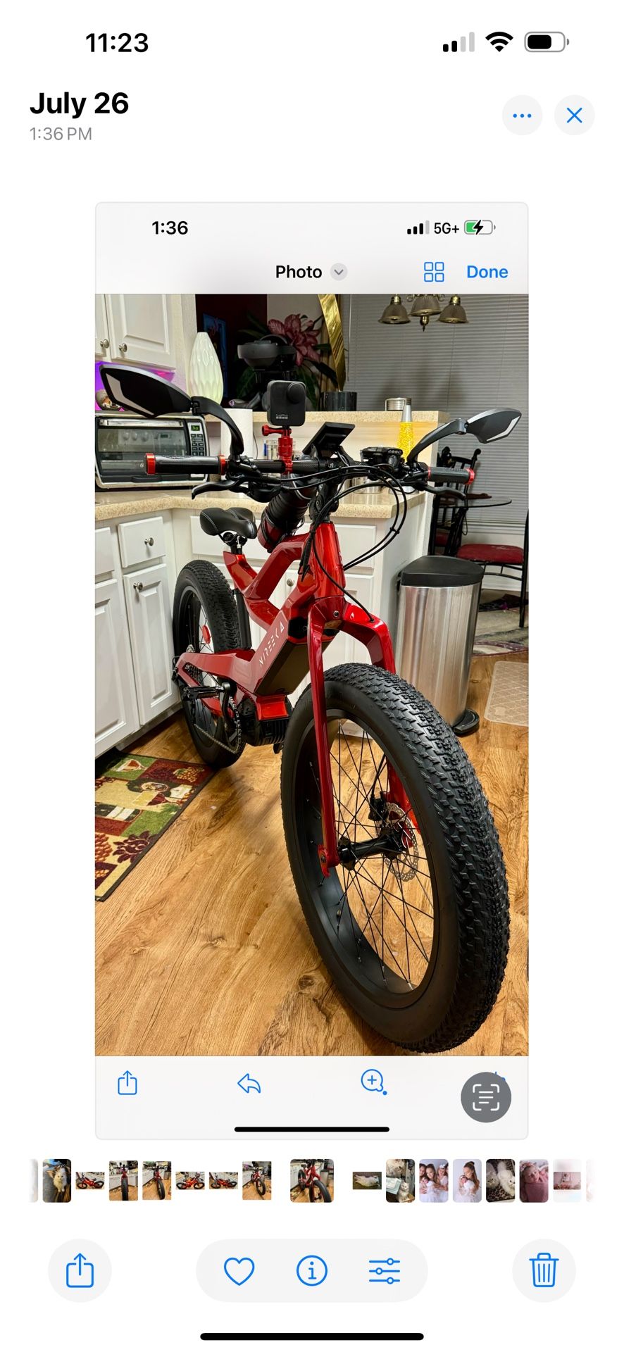 Nireeka Prime 1500 E Bike