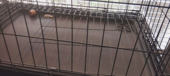 Dog crate