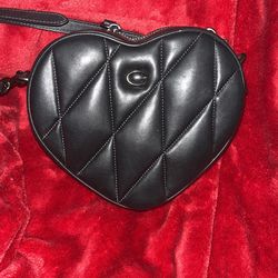 Black Coach Purse