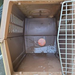 Large PET Carrier