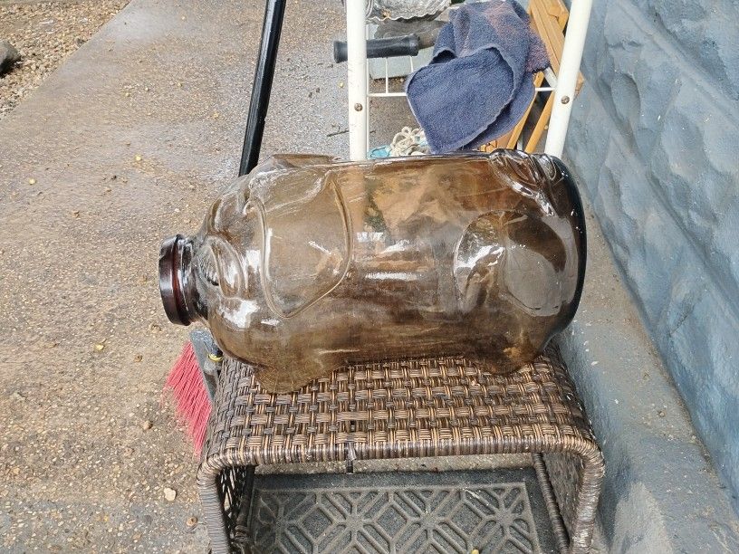 Glass Piggyback
