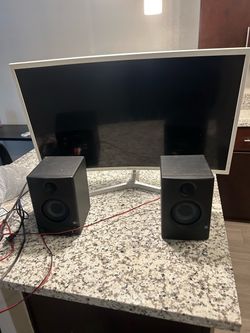 Monitor and speaker set