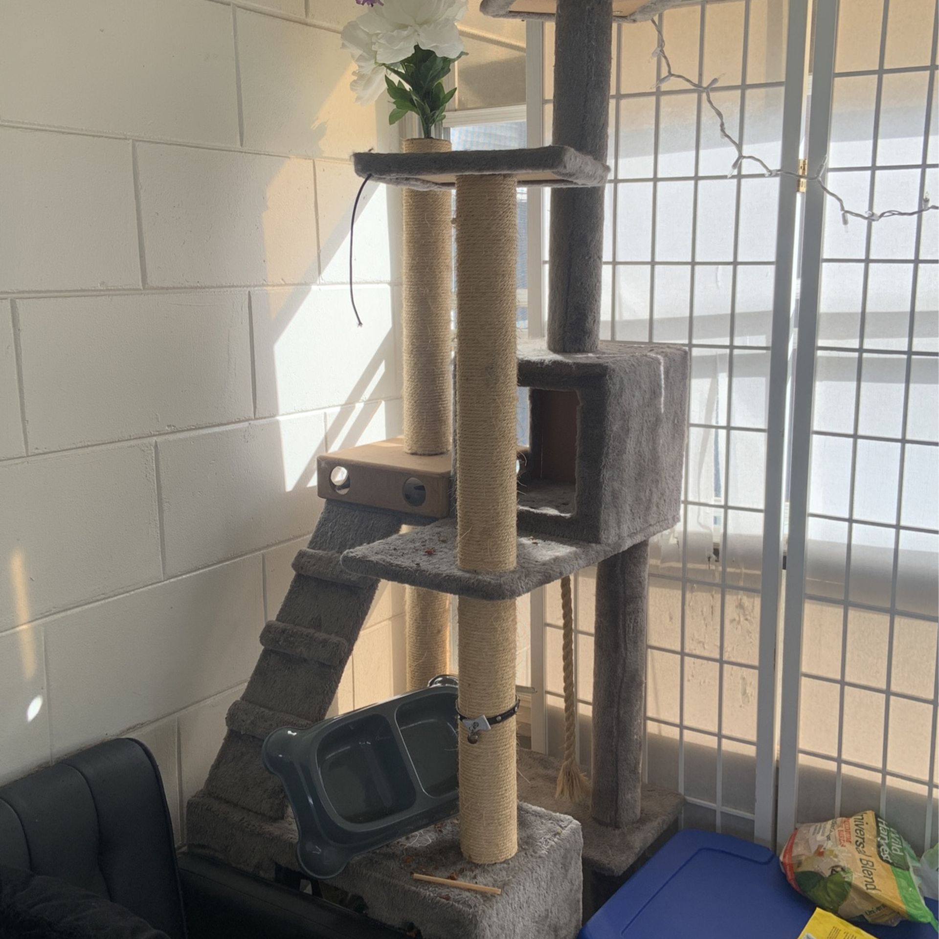 Cat Tower, Litter Box, Food Bowl . for Sale in Bvl, FL OfferUp