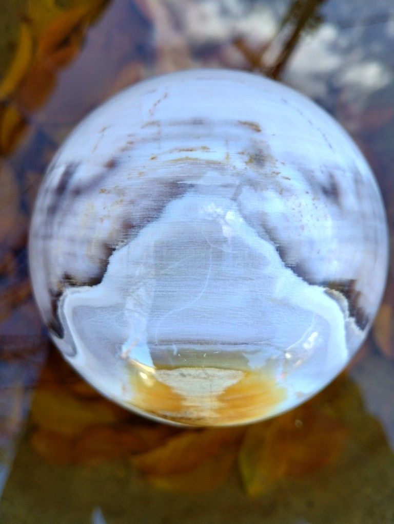 California Petrified Wood Spheres Local Opalized Granite Bay, Ca