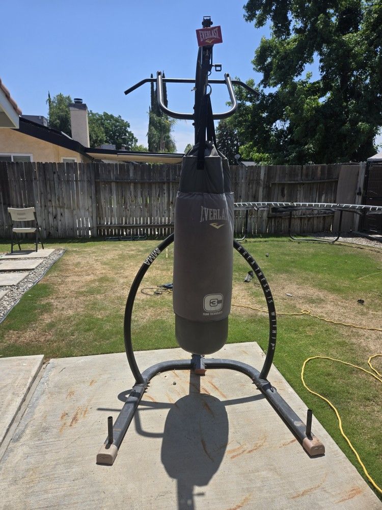 Everlast Punching Bag