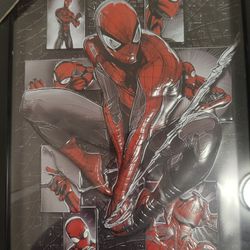 Spider-Man Framed Wall Art