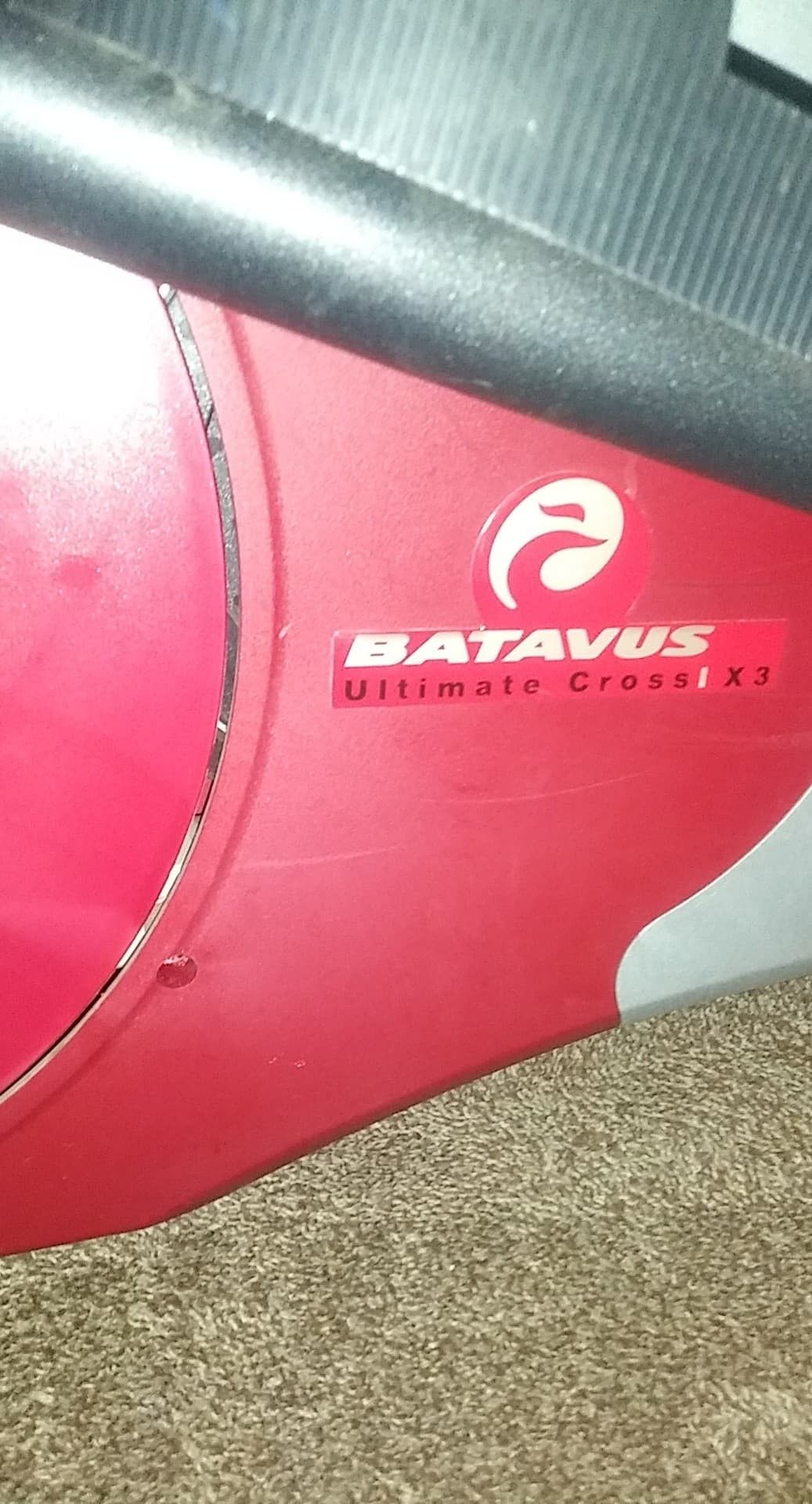 Batavus