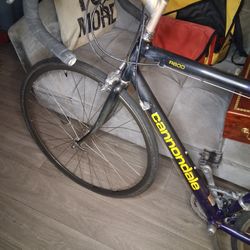 Road Cycle  R6000 Vintage 