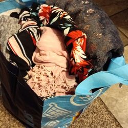 Bolsa de ropa de mujer