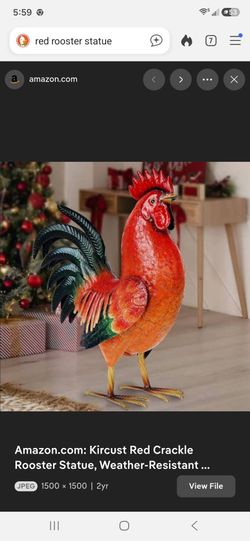 Free live Rooster