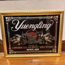 Yuengling Mirror Frame
