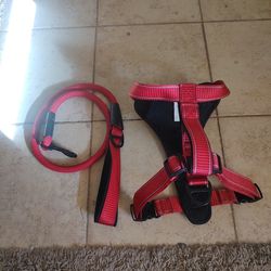 Kong Harness And Leash Size Large