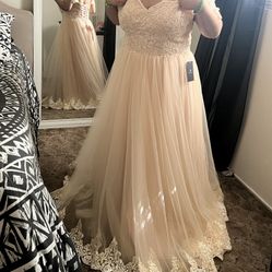 Ball Gown Dress 