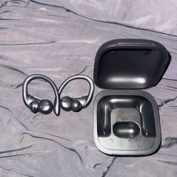 Beats by Dr. Dre Powerbeats Pro In Ear Wireless Headphones - Black