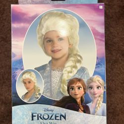 Frozen Wig