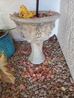 Cement Garden Planter
