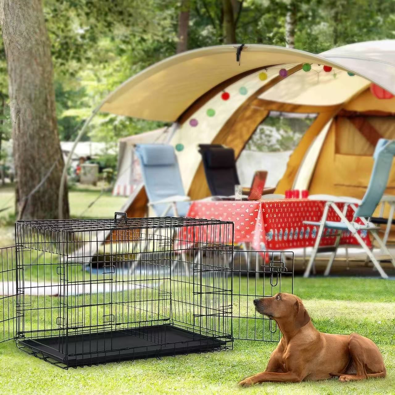 24" Dog Cage, Two Door Wire Dog Crate, Heavy Duty Portable Dog Cage