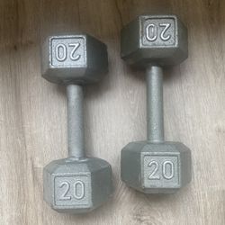 20 lb Metal Hex Dumbbell Hand weights 