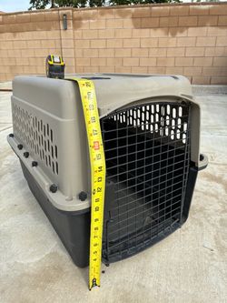 Hard Shell Pet Travel Crate Carrier