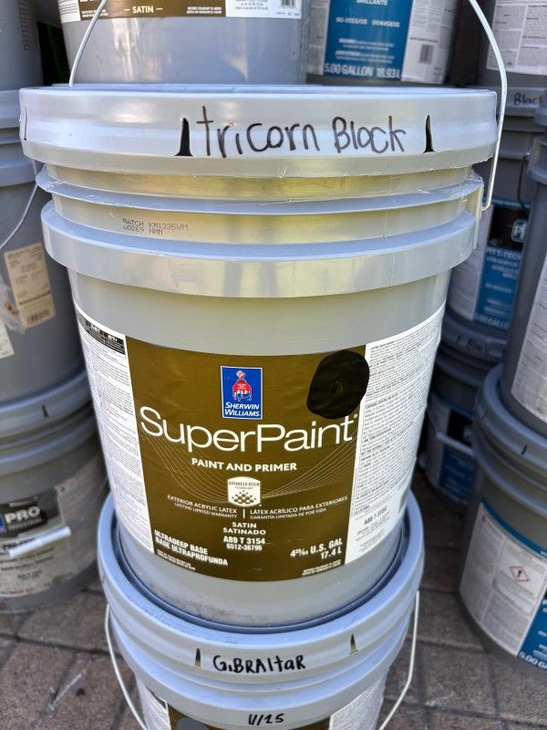 Paint Exterior Satin (Tricorn Black)
