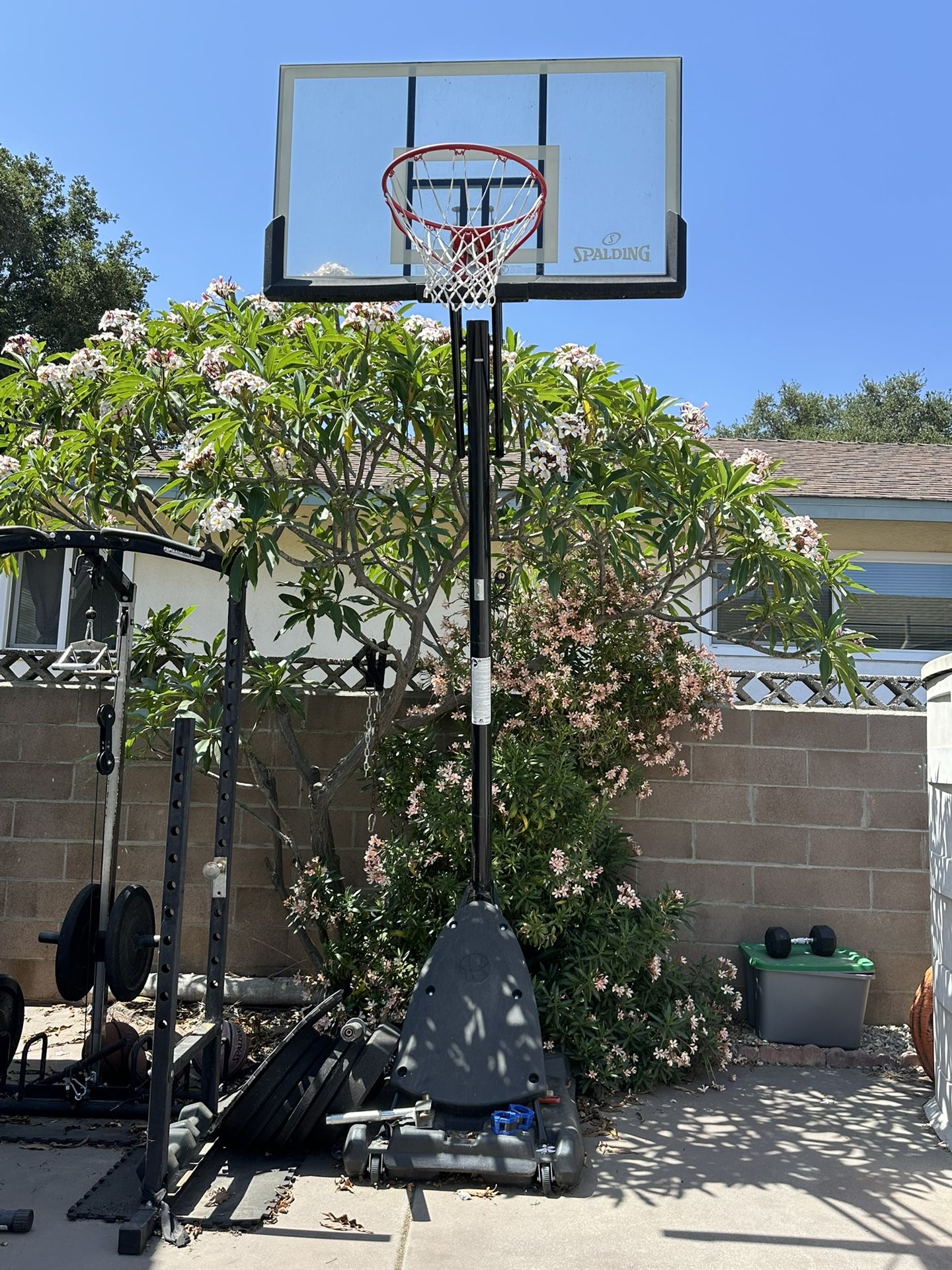 Spalding Basketball Court