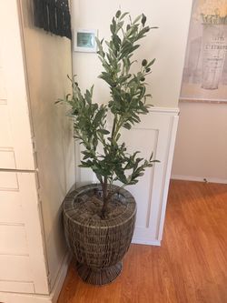 Faux Olive Tree Plant about 4 ft