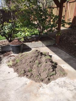 Free dirt