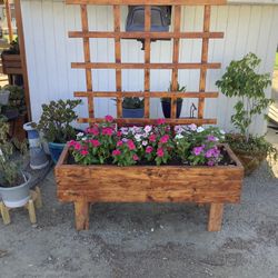 Planted Box With Lattice And Flowers