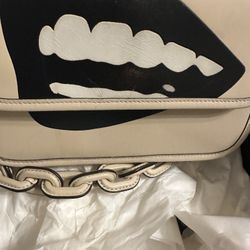 X Tom Wesselman Limited Edition Coach Purse