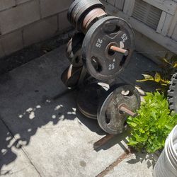 Workout Machines And Weights