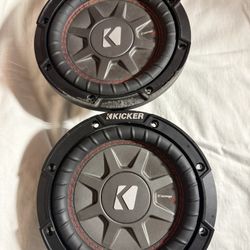 2.  Miny Subwoofers.   6/5