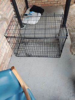 Kennel
