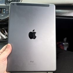 Apple iPad