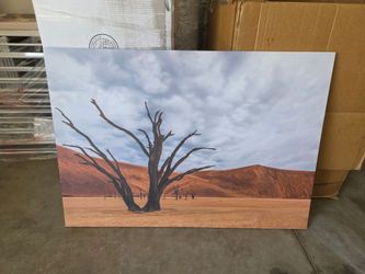 Desert Artwork