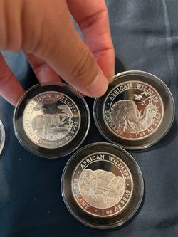 Somali silver elephants
