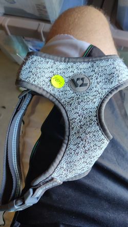 Vibrant Life Medium Teal Dog Harness