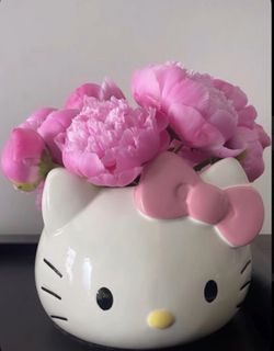 Hello Kitty Planter