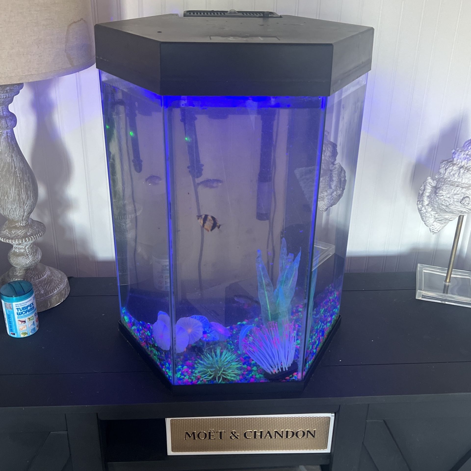 Fish Tank With All Accessories And Fish. 20 Gallon