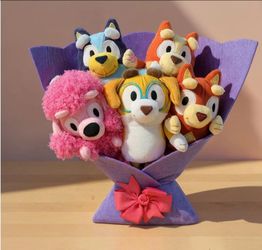 Bouquet hello Bluey and Sanario $35